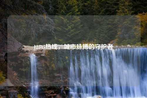 12345热线，城市脉搏的守护者