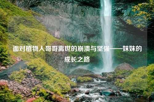 面对植物人哥哥离世的崩溃与坚强——妹妹的成长之路