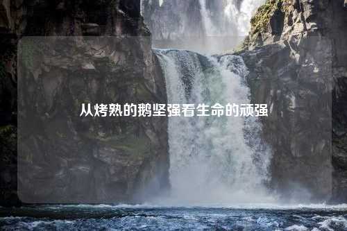 从烤熟的鹅坚强看生命的顽强
