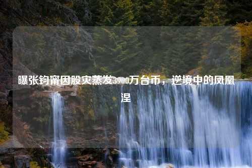 曝张钧甯因股灾蒸发3900万台币，逆境中的凤凰涅槃