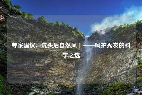 专家建议，洗头后自然风干——呵护秀发的科学之选