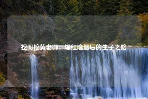挖呀挖黄老师，爆红隐退后的生子之路