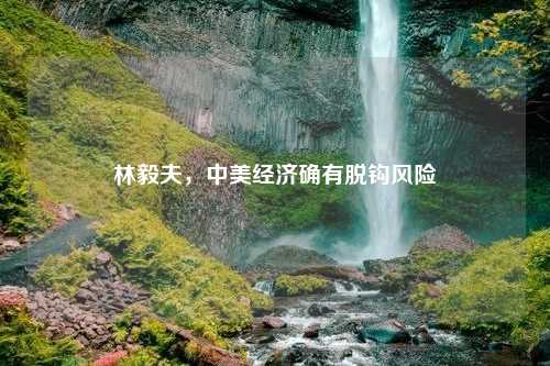 林毅夫，中美经济确有脱钩风险