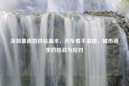 深圳暴雨地铁站漏水，开车看不清路，城市雨季的挑战与应对
