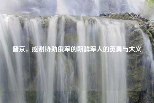 普京，感谢协助俄军的朝鲜军人的英勇与大义