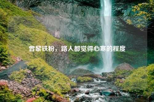 曾黎铁粉，路人都觉得心寒的程度